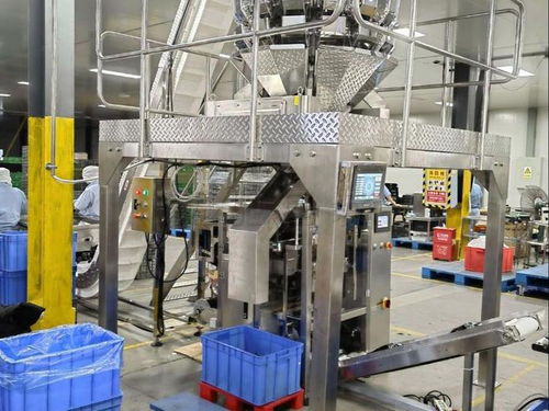 全自動膨化食品包裝設備品牌推薦 賦能蝦條、薯片、蝦片、鍋巴高效生產